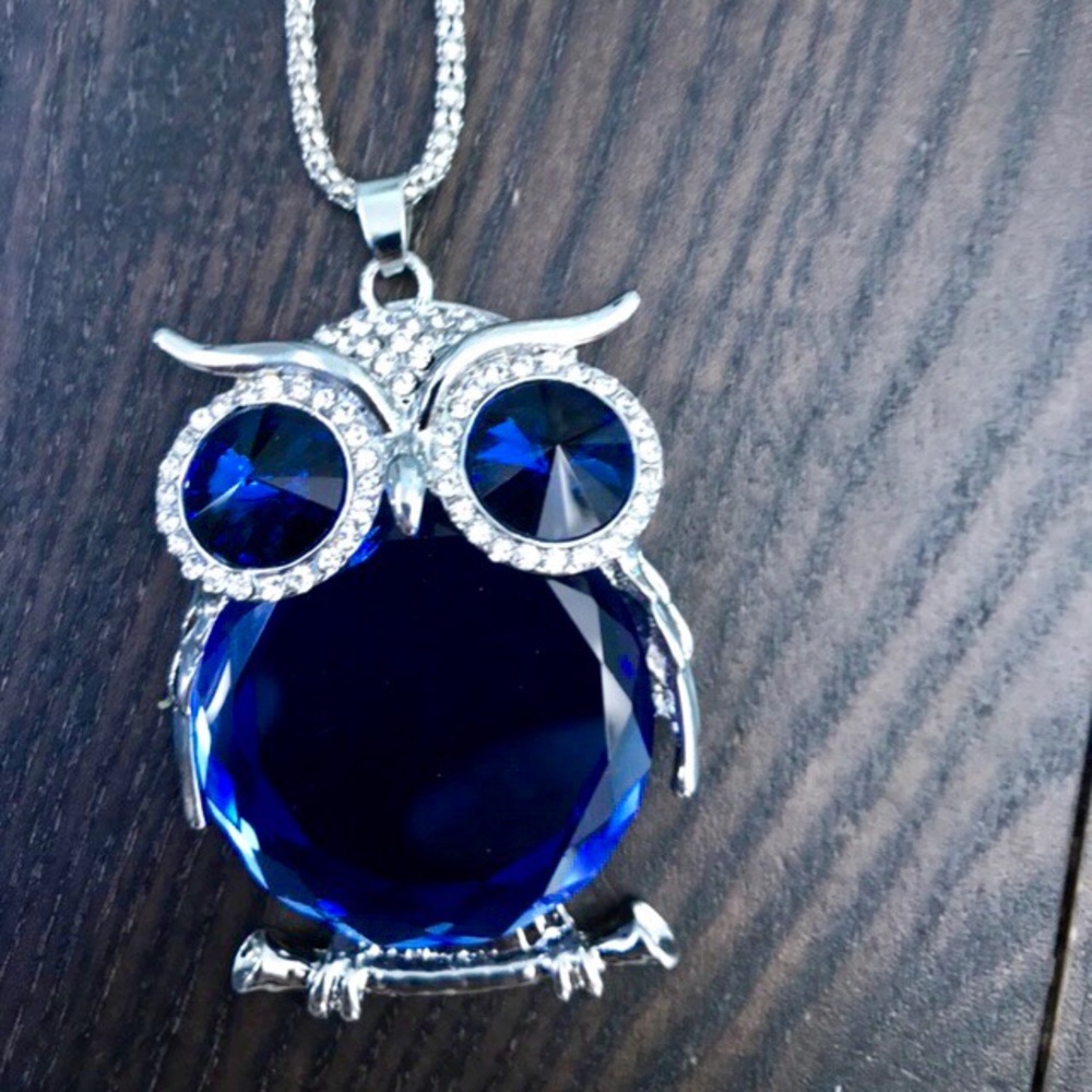 NEW!๐๐๐BIG BLUE OWL๐ฆSTATEMENT NECKLACE BIRD - Picture 4 of 8
